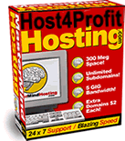 Web Hosting Ebook Pic.
