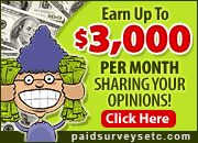 Paid Surveys Etc